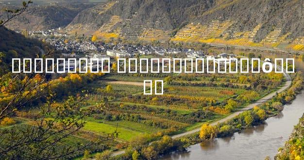 ������ע�� ���ݶ��ܿ������ô����